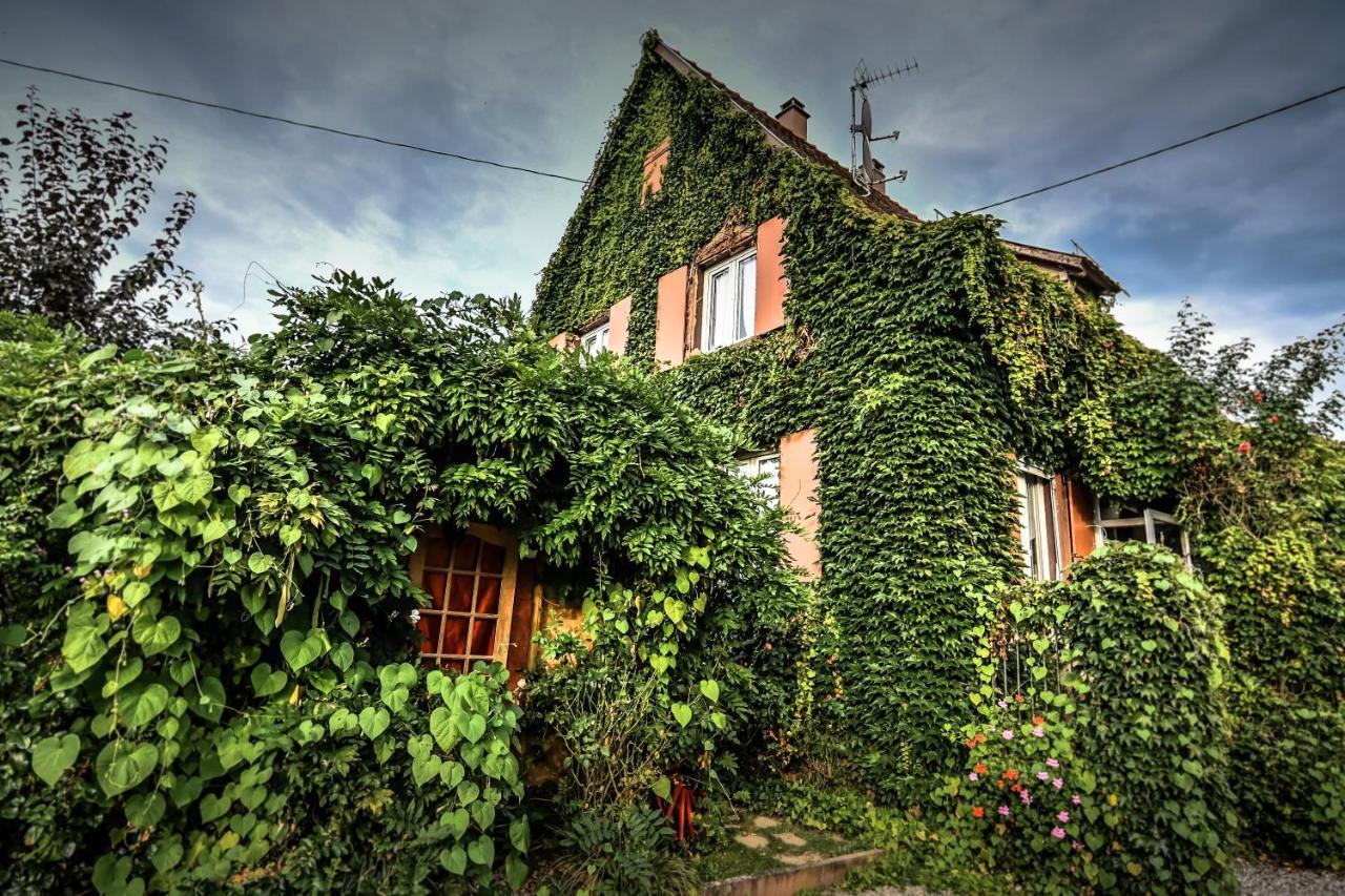 ❊ Au Murmure De L'Eau Au Coeur De L'Alsace ❊ Villa Ebersheim Exterior foto